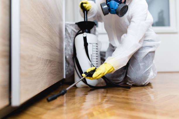 Best Pest Prevention Services  in Braska City, NE