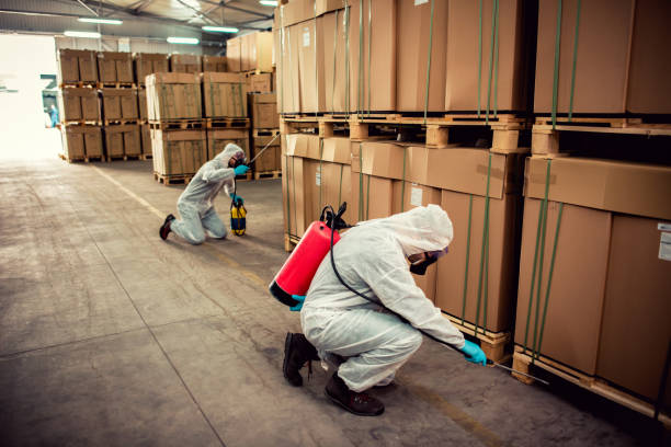 Best Affordable Pest Control Services  in Braska City, NE